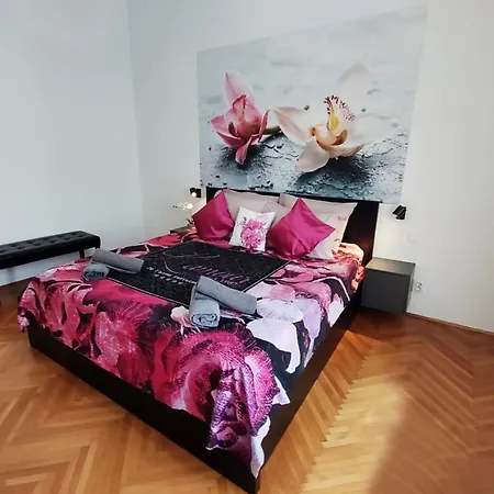 Orchidea In The Centre Apartment Split