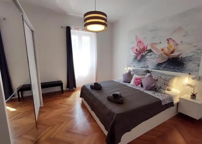 Orchidea In The Centre Apartment Split