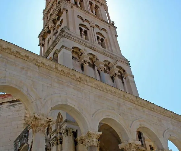 Orchidea In The Centre *