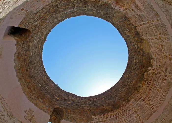 Orchidea In The Centre