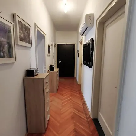 Orchidea In The Centre Split