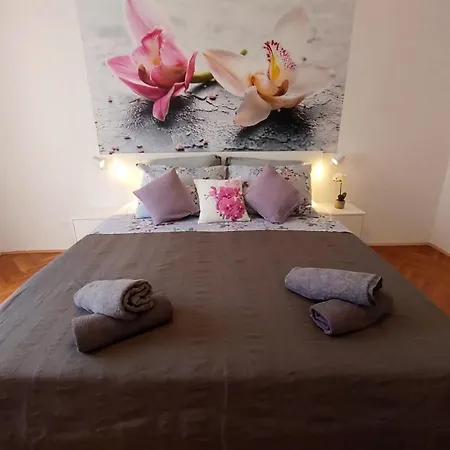 Orchidea In The Centre Apartman *